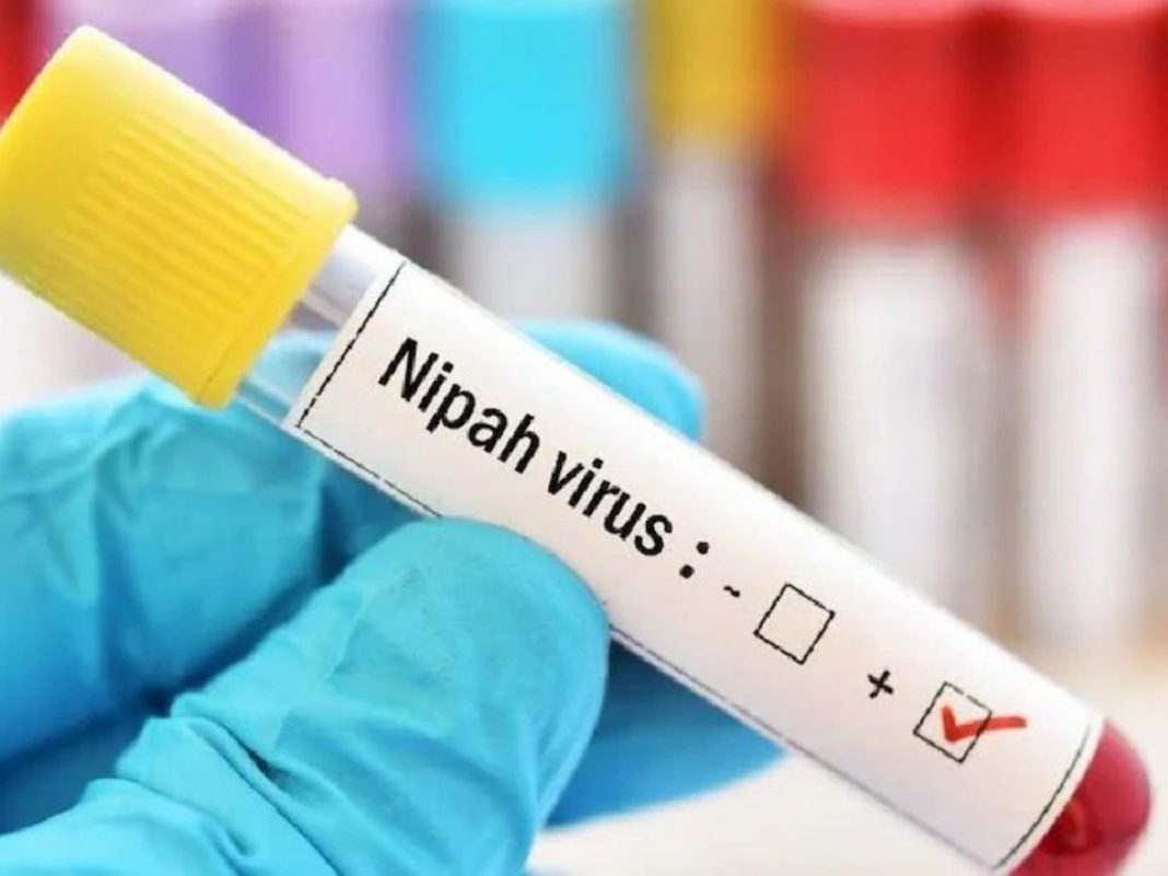 Nipah Virus In Kerala: Here Are Signs And Symptoms