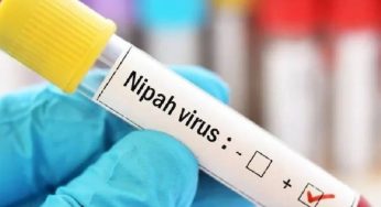Nipah Virus In Kerala: Here Are Signs And Symptoms and What You Should Avoid