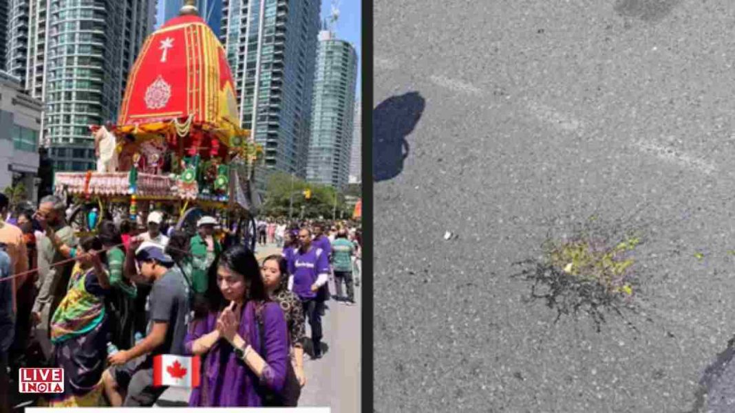 India Condemns Egg Attack on Rath Yatra in Toronto; Urges Canada to Act Against Culprits