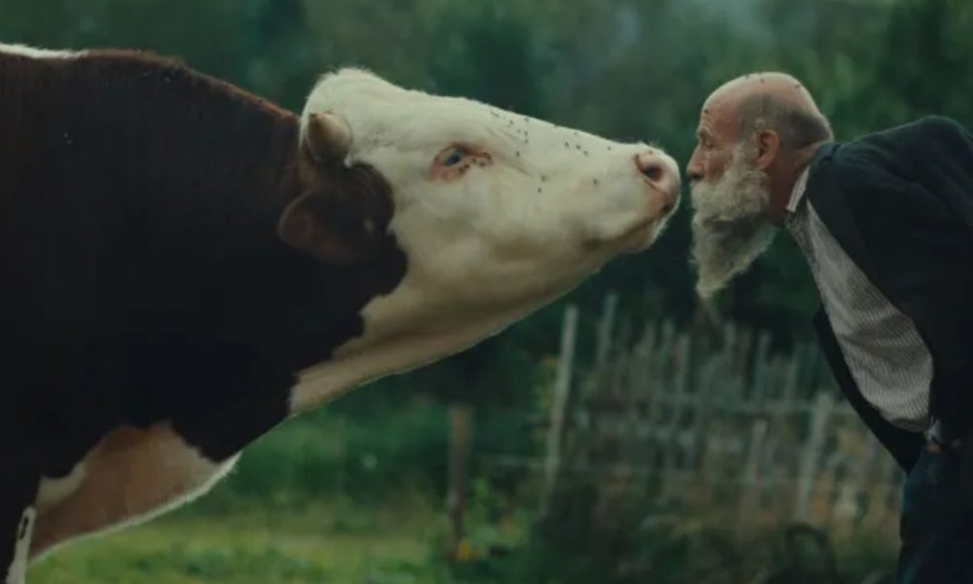 ‘Better Go Mad in the Wild’: The Karlovy Vary Winner That Breaks Every Rule