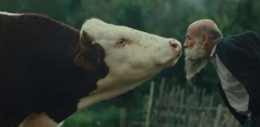 ‘Better Go Mad in the Wild’: The Karlovy Vary Winner That Breaks Every Rule