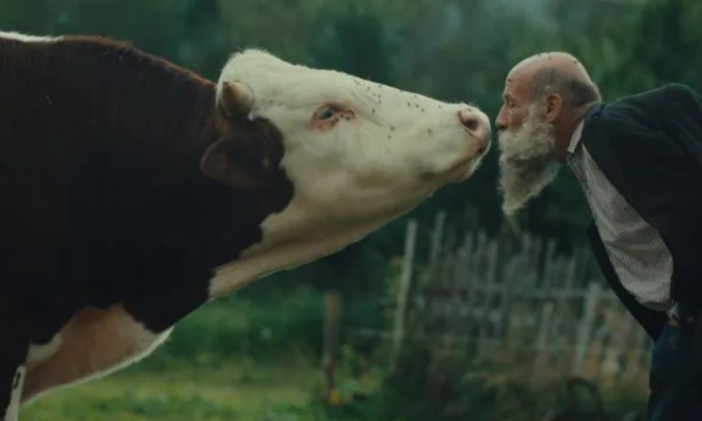 ‘Better Go Mad in the Wild’: The Karlovy Vary Winner That Breaks Every Rule