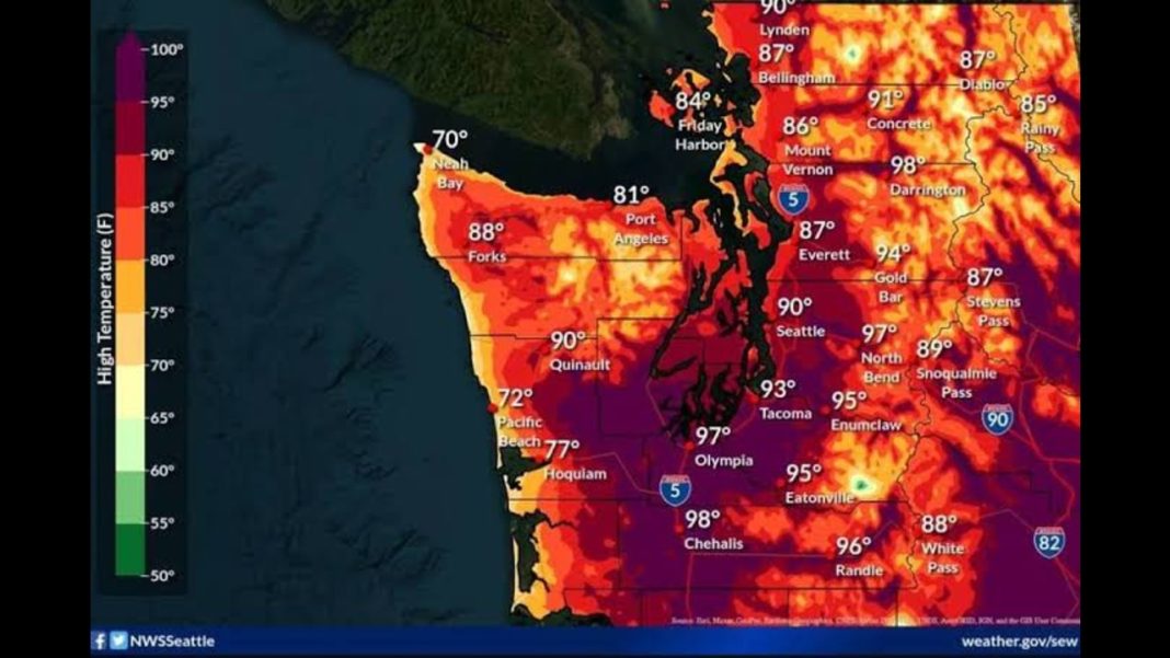 Seattle Sizzles: Heat Advisory Hits Midweek