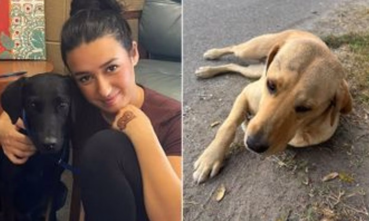 Nina Dobrev and Her Dog Maverick Just Won the Internet—Again