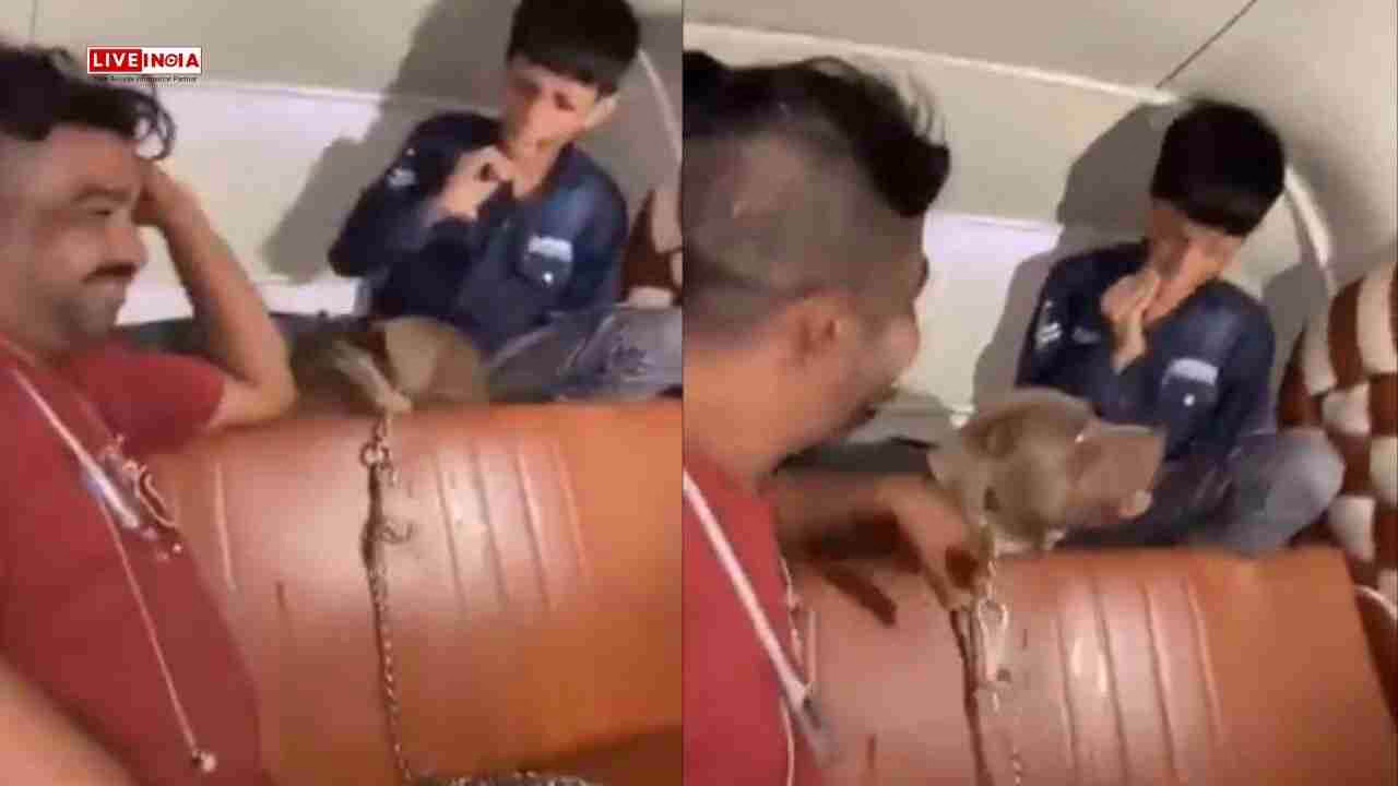 Mumbai Horror: Man Laughs As Pit Bull Attacks 11-Year-Old Boy Inside Auto-Rickshaw-Watch