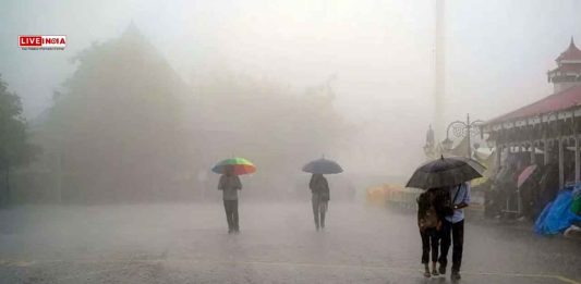 Rain Update: Red Alert in Himachal, Punjab as Monsoon Pummels North India; Delhi, Mumbai, Bengaluru Brace for More Rain