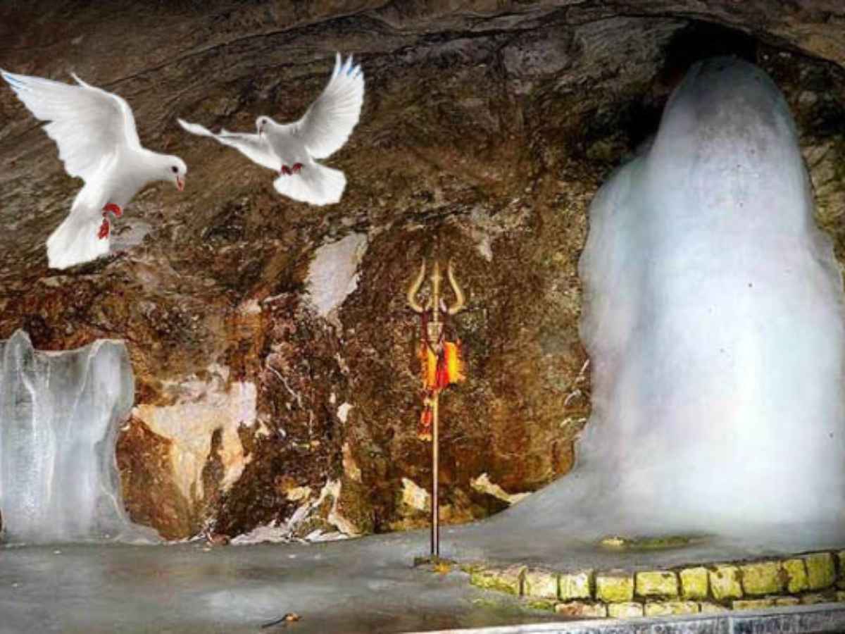 Amarnath Yatra 2025: Why Only the Blessed Witness Amarnath's Sacred Pigeons