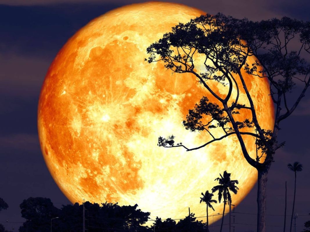 Full Moon July 2025: When To See The ‘Buck Moon’ Rise Where You Are