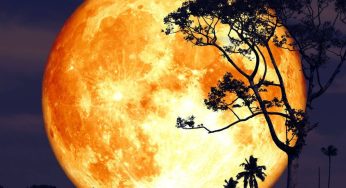 Full Moon July 2025: When To See The ‘Buck Moon’ Rise Where You Are