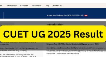 CUET UG 2025 Result: Know How to Download Your Scorecard
