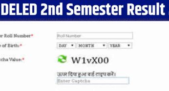 UP DElEd Result for Semesters 2 and 4 Out – Download Link and Pass Percentage