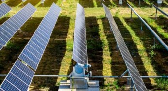 Italy’s Latest Solar Tender Draws 17.5GW In Bids, GSE To Allocate Up To 8GW