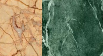 LiveIndia Market Update – Oriental Trimex share price Today 7 july