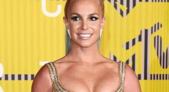 Britney Spears Poses Naked Picture, Reignites Public Concern