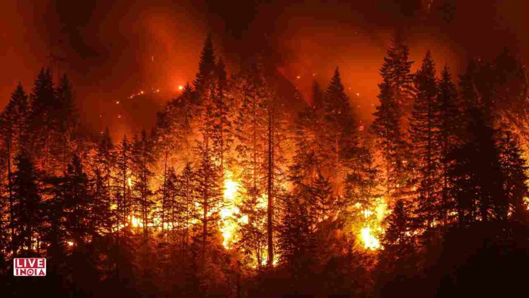 Europe’s 2025 Wildfire Crisis: Over 1 Million Hectares Burned, Experts Warn Climate Change is Fueling “Perfect Firestorms”