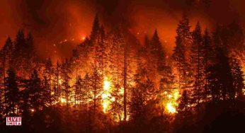 Europe’s 2025 Wildfire Crisis: Over 1 Million Hectares Burned, Experts Warn Climate Change is Fueling “Perfect Firestorms”