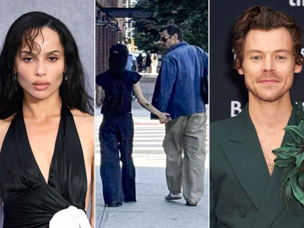 Harry Styles, Zoë Kravitz Spotted Hand-in-Hand in Brooklyn Sparks Dating Rumors