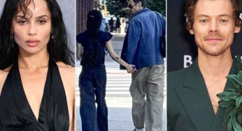 Harry Styles, Zoë Kravitz Spotted Hand-in-Hand in Brooklyn Sparks Dating Rumors