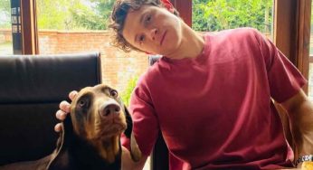 Tom Holland Celebrates Over 3 Years of Sobriety