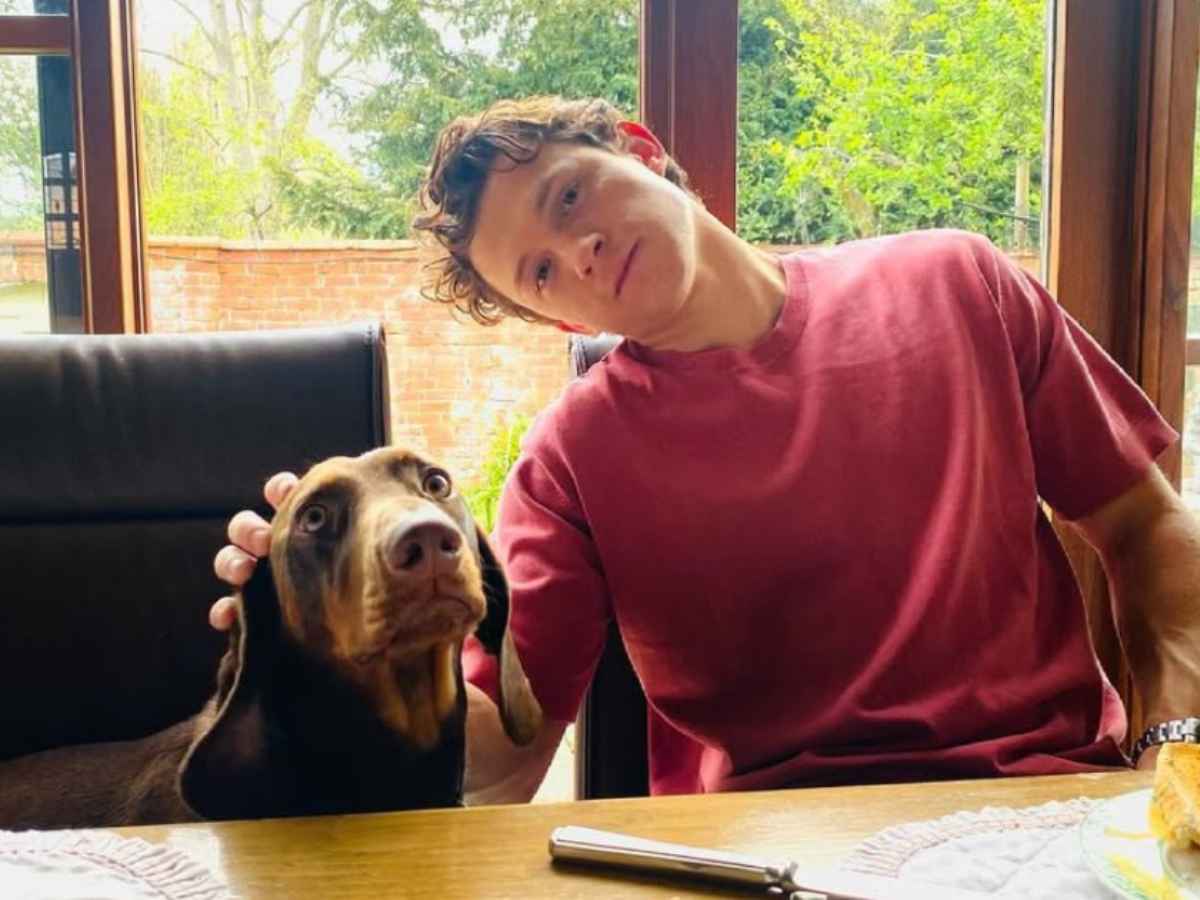 Tom Holland Celebrates Over 3 Years of Sobriety