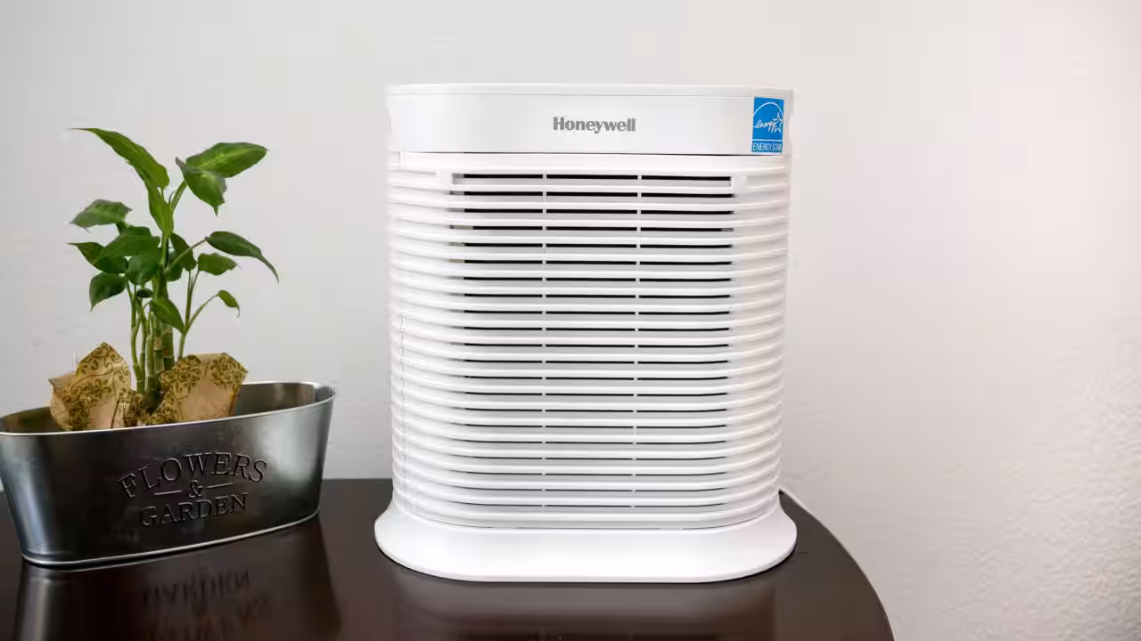 Centre Opposes GST Cut on Air Purifiers, Cites 'Pandora’s Box' Risk