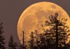 Last Supermoon of the Year: The ‘Cold Moon’ Lights Up North America Tonight Last Supermoon of the Year: The 'Cold Moon' Lights Up North America Tonight
