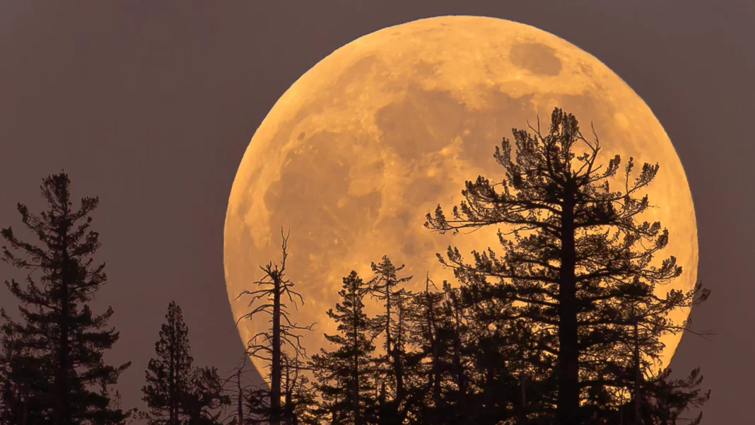 Last Supermoon of the Year: The 'Cold Moon' Lights Up North America Tonight