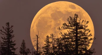 Last Supermoon of the Year: The ‘Cold Moon’ Lights Up North America Tonight