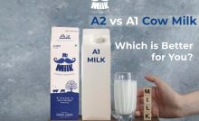 Which One is better for you amid current toxic air pollution levels: A1 or A2 milk?