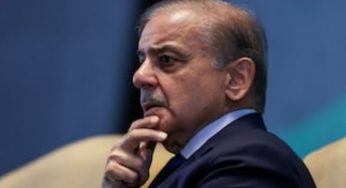 Shehbaz Sharif Admits Seeking Foreign Aid Amid Economic Crisis