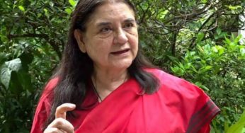 Supreme Court Raps Maneka Gandhi Over Stray Dog Remarks