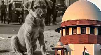 SC Clarifies Stray Dog Orders