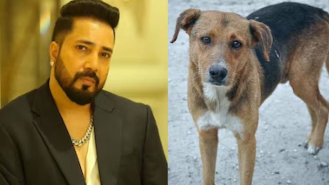 Mika Singh Offers Land for Stray Dogs