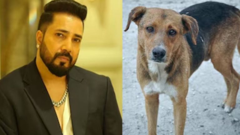 Mika Singh Offers Land for Stray Dogs