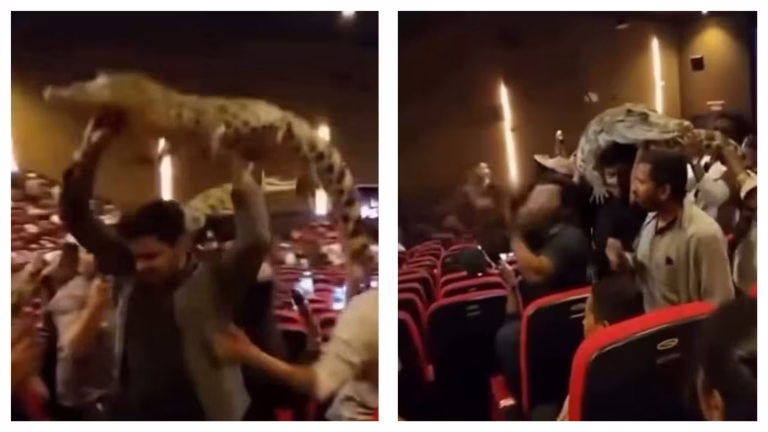 Prabhas Fans Bring Fake Crocodiles to Theatres to Celebrate The Raja Saab Release