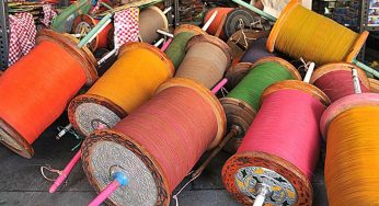 Chinese Manja Claims More Lives Across India