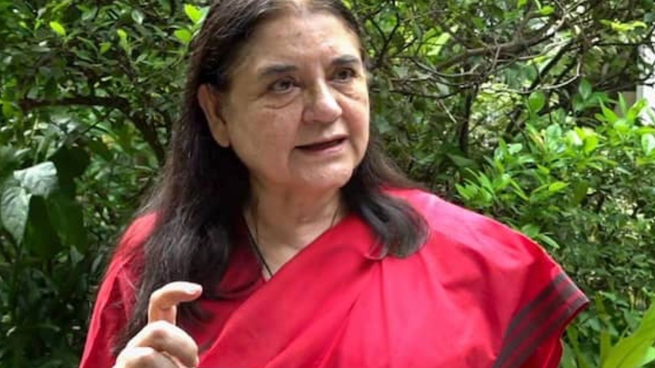 Supreme Court Raps Maneka Gandhi Over Stray Dog Remarks