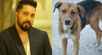 Mika Singh Offers Land for Stray Dogs