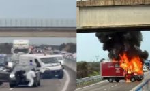 From Italy to India: Shocking Incidents Leave Many Stunned