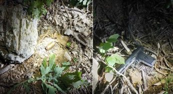 Three Asad Gang Members Injured In Delhi Encounter