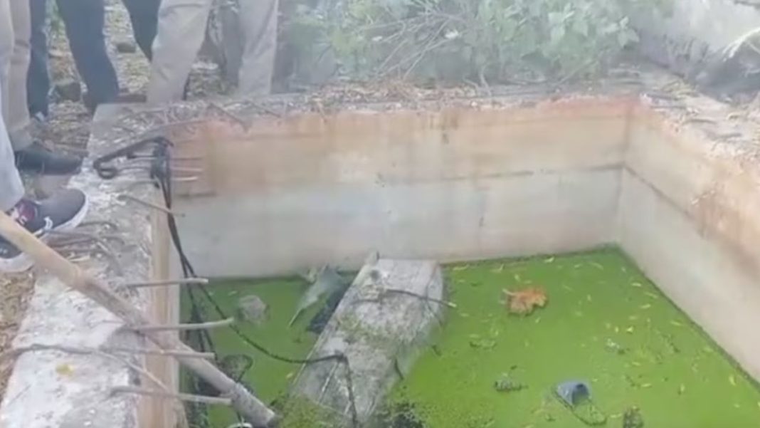 Woman’s Body Found In Septic Tank In Bhopal