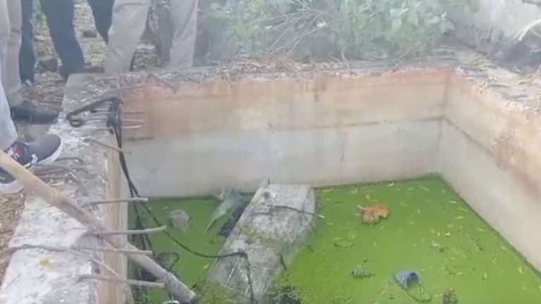 Woman’s Body Found In Septic Tank In Bhopal
