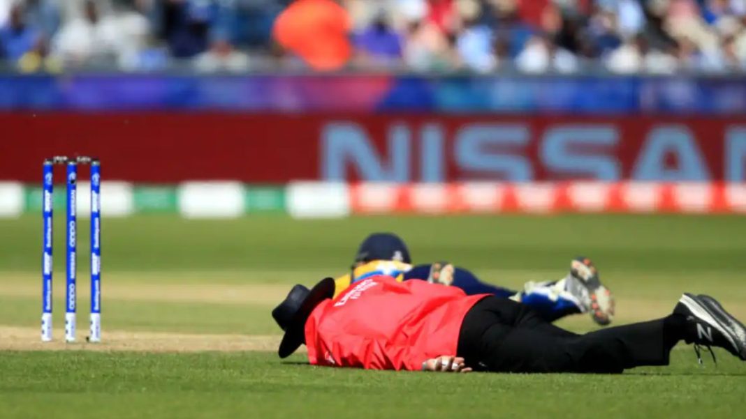 Umpire Dies After Bee Attack In Unnao