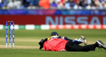 Umpire Dies After Bee Attack In Unnao