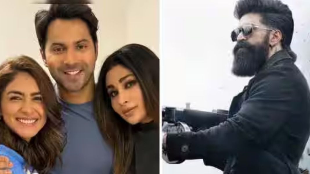 Varun Dhawan Film Delayed Again