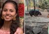 Tragedy At Shivamogga Safari: 27-Year-Old Veterinarian Killed In Hippo Attack Tragedy At Shivamogga Safari: 27-Year-Old Veterinarian Killed In Hippo Attack