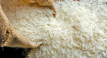Basmati Crisis: 50% Of India’s Rice Exports Under Threat As West Asia War Escalates