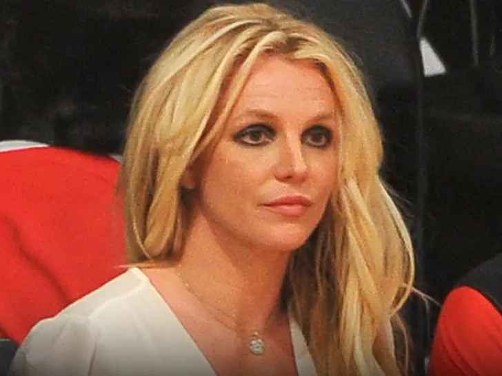 Why Britney Spears Arrested In California?
