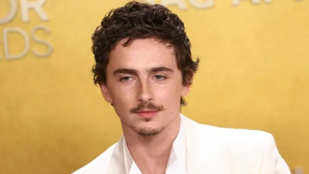 Timothée Chalamet Faces Backlash Over Opera Remark
