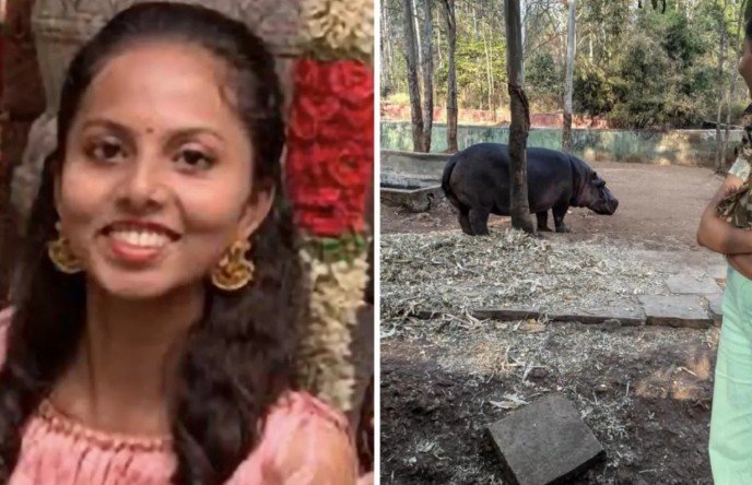 Tragedy At Shivamogga Safari: 27-Year-Old Veterinarian Killed In Hippo Attack